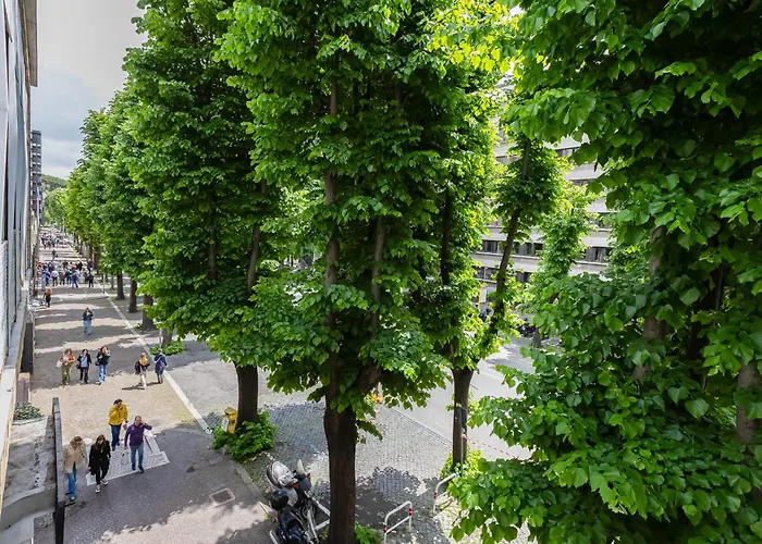 New Flat Beethoven *